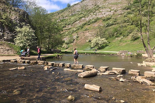 Stepping Stones